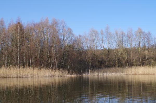 Gamensee