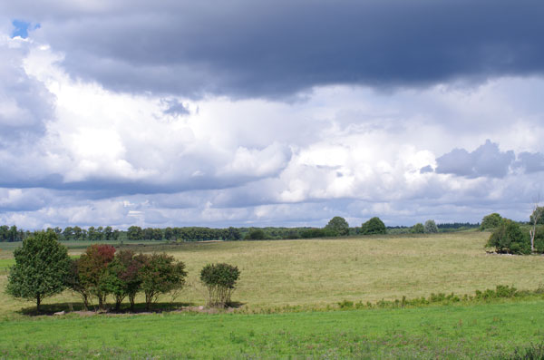 Landschaft