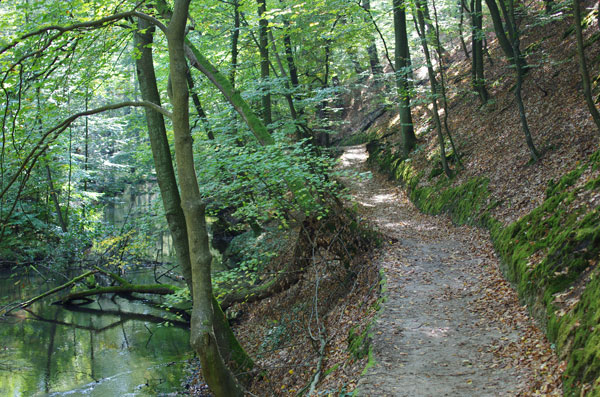 Bremsdorf