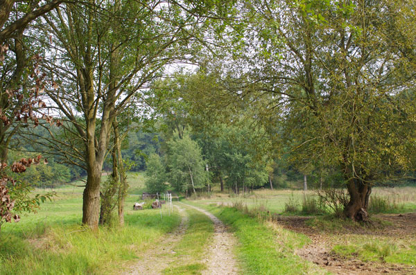Wiesenweg